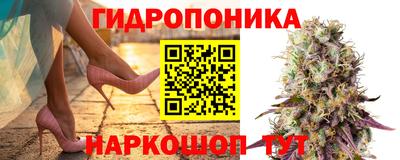 метадон Новозыбков