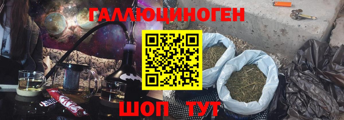 Галлюциногенные грибы Psilocybine cubensis Балашиха